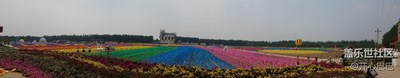 花海世界，色彩繽紛