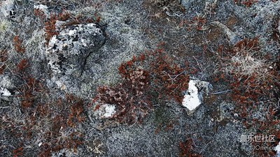 冰島苔原－Galaxy note5冰島環(huán)島組圖（五）