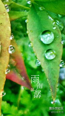 雨聲潺潺