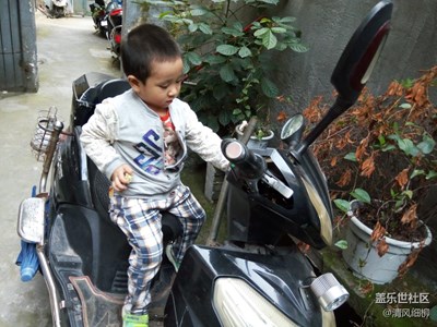 尋找童真+綿陽市+我也會開車啦