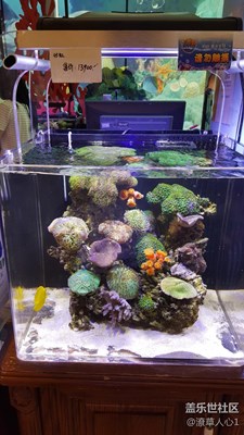 想買，有些貴