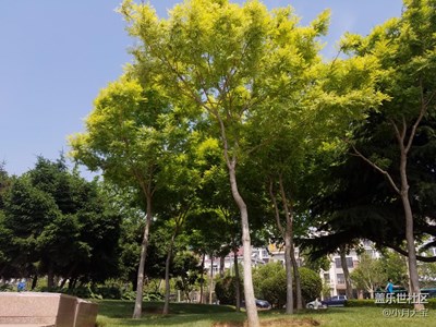 在大連，走哪拍哪，指哪拍哪