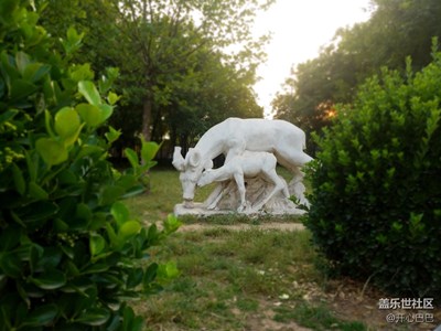 路邊的野花--隨拍