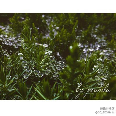 我對生活揚(yáng)起嘴角，她給了我最美笑臉