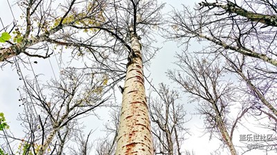 優(yōu)美的生態(tài)