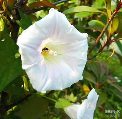 實(shí)驗(yàn)貼----pc端