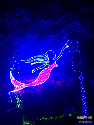 廈門夢(mèng)幻燈光節(jié)