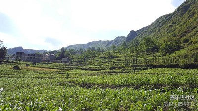 S6眼中的美！