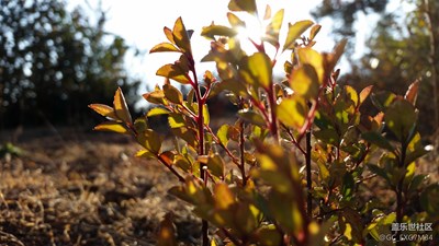 歲月流逝，美好永存