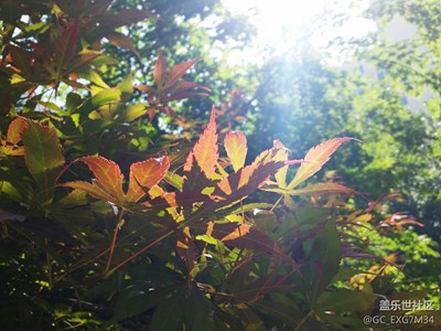 歲月流逝，美好永存
