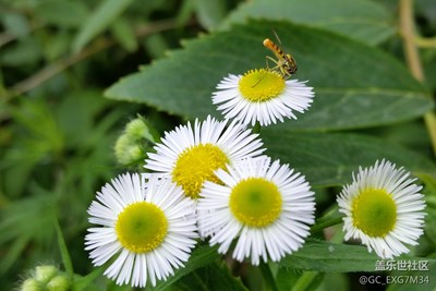 歲月流逝，美好永存