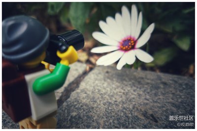 無聊的假期讓S7陪我度過