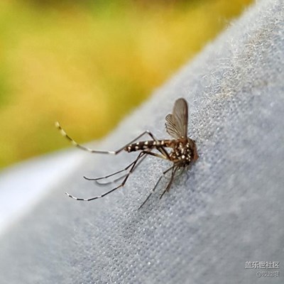 那年陪伴我的它（N9200）