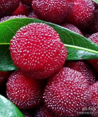 開個(gè)胃……