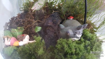 【尋找童真】＋徐州＋小妹妹和龍貓