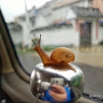 帶上S7偶遇中國第一慢城的“小原住民“