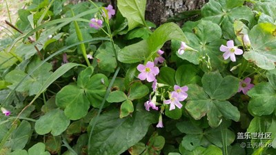 歲月靜好-身邊風(fēng)景