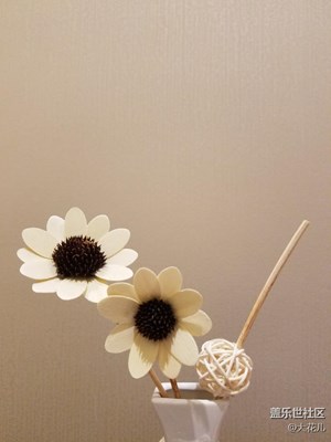 愛(ài)不一樣，歲月靜好