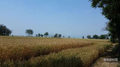 又有一年豐收時(shí)