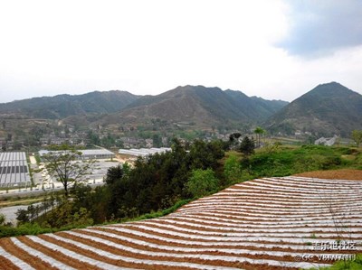 家鄉(xiāng)美景
