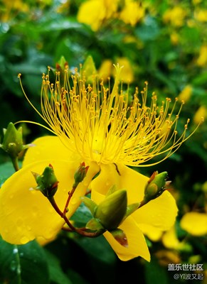 安靜的美好，優(yōu)雅的風景