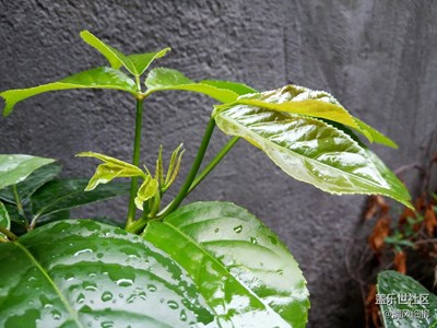 風(fēng)和日麗的日子