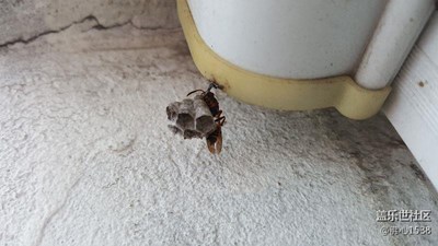 心情隨拍