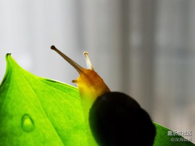 車房一體小富豪