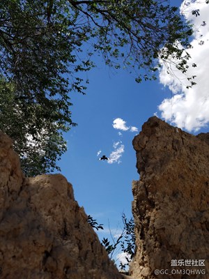 不一樣的鄉(xiāng)土情