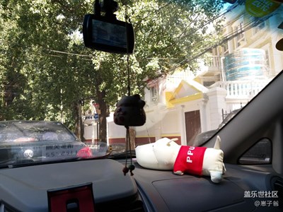 狗和貓都熱死了