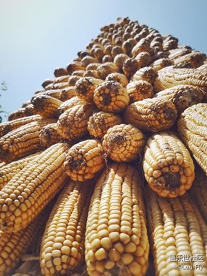 民族也拉風-地坑院 s7edge