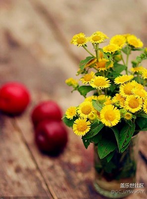 等待一個(gè)人