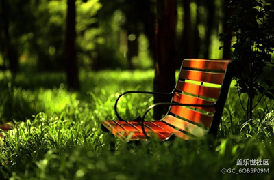 找尋秋天的色彩