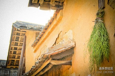 下鄉(xiāng)走一趟