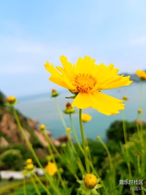 夏天唯有大海和鮮花不可辜負(fù)（三）