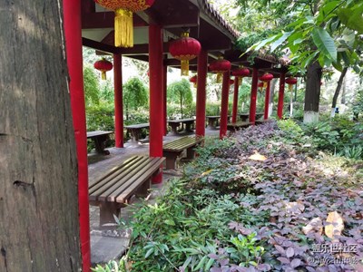 靚彩