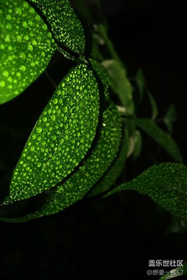 9原創(chuàng)攝影，我只是可憐的三星迷，想要一部S7