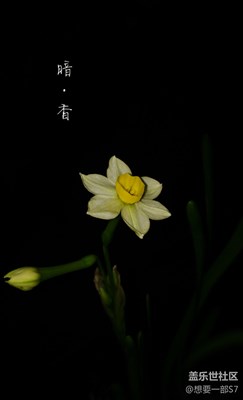 5原創(chuàng)攝影，我只是可憐的三星迷，想要一部S7