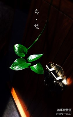 10原創(chuàng)攝影，我只是可憐的三星迷，想要一部S7