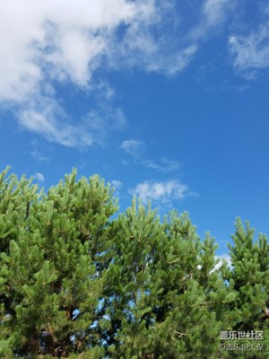 藍天