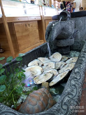 典型的歷史文化街區(qū)——成都寬窄巷子（二）