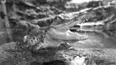 幸好還有點(diǎn)存貨