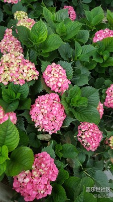 強(qiáng)行秀一波