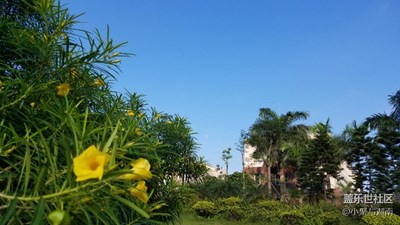 白晝的月