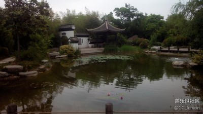 之前的隨手拍，某個公園