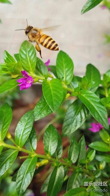 拍攝單一動(dòng)態(tài)物體記得用自動(dòng)追焦