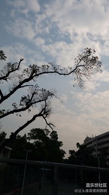 天空水墨   樹之畫