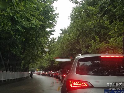 雨后優(yōu)雅的弧線