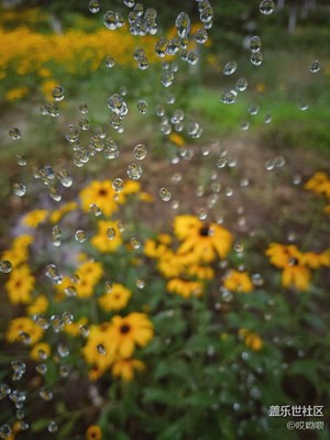 把手機攝影當成一種樂趣