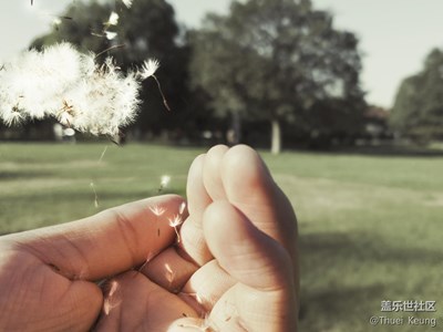 愛(ài)不一樣“7”思妙想